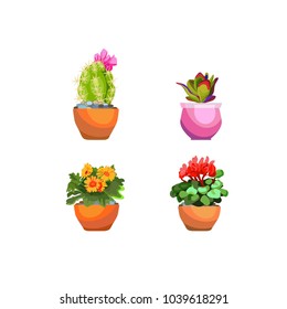 Indoor plant in bright flower pots. Cactus. Interior flowers. Vector icons on white background

