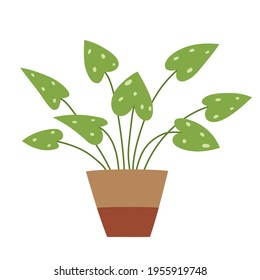 Indoor plant in a brown clay pot. Home plant with large mottled leaves. Color picture, icon. Vector image, clipart.