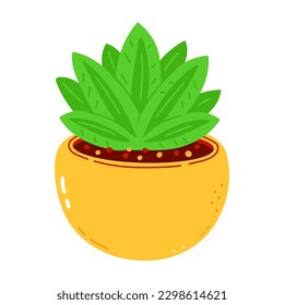 Indoor plant character. Vector hand drawn cartoon kawaii character illustration icon. Isolated on white background. Indoor plant fruit character concept