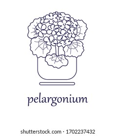 Indoor plant. Close-up. Design element. Contour image on a white background. Vector illustration.