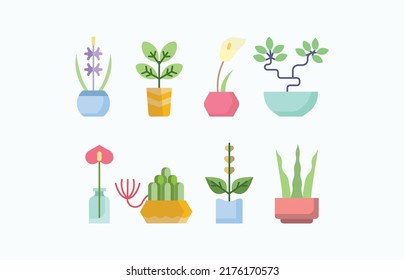 indoor Plant collection with Pot
