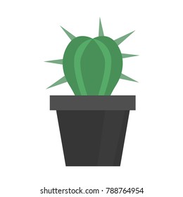 Indoor plant color flat