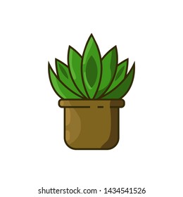 indoor plant color vector icon on white background