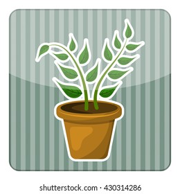 Indoor plant colorful icon