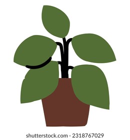 Indoor plant design element for website, application, printing, document, poster design, etc.