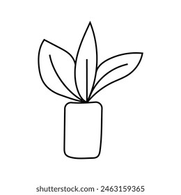 indoor plant doodle. Vector isolated on white background