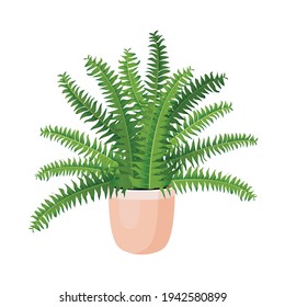 Indoor plant fern, nephrolepis in a pot for home, office, premises decor. Illustration isolated on white background. Trendy home decor with plants, urban jungle