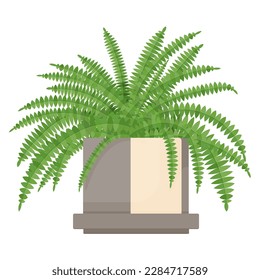 Indoor plant fern, nephrolepis in a pot for home, office, premises decor. Illustration isolated on white background. Trendy home decor with plants, urban jungle.