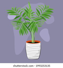 Indoor plant flat color illustration.Realistic houseplant in white pot with pattern.Exotic flower with stems and leaves.Palm tree isolated botanical design element.