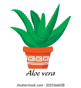 Indoor plant  flat color illustration.Realistic houseplant in patterned pot in beige and white colors.Aloe Vera succulent isolated botanical design element.