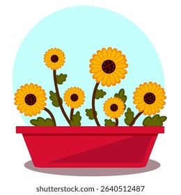 Indoor plant flower daisy, violet in a pot. Isolated on a light background in a flat style
