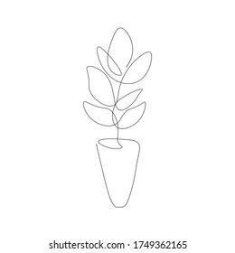 Indoor plant flower on table, vector illustration