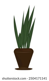  Indoor plant and flower in pot. Decor for the apartment and garden. Vector illustration hauseplant