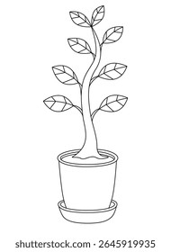 Indoor Plant in a Flower Pot, Ficus - Vector Linear Picture. Outline. Plant in a Flowerpot for Coloring.