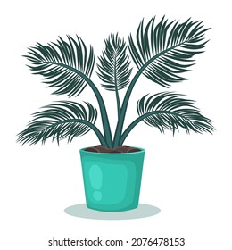 Indoor plant in flower pot. Houseplant isolated on white background. Home decoration. Palm Tropical leaves. Vector illustration.