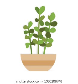 Indoor plant in a flower pot in paper art style. Hand drawn vector succulent. 