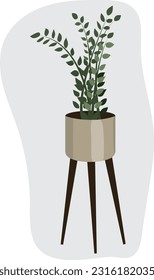 Indoor plant. Flower in a tall vase in the Scandinavian style. High quality vector illustration.