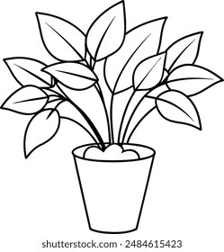Planta interior y Vector de flores.