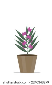 an indoor plant flowers in a pot green vector illustration