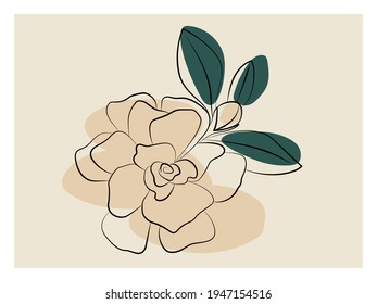 Indoor plant gardenia jasmine. Vector illustration of a flower. 