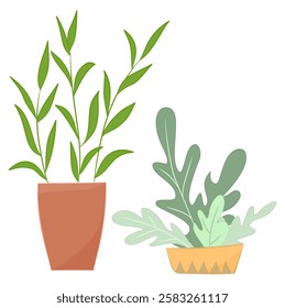 Indoor Plant and Green Foliage Growing in Ceramic Pot Vector Set