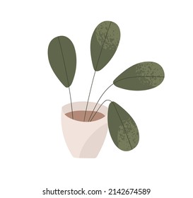 Indoor plant growing in pot. Green houseplant in planter. Natural home, house decoration with leaf. Modern room foliage. Homeplant in flowerpot. Flat vector illustration isolated on white background