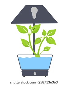 Indoor plant growth system with light and water for optimal nurturing in a modern home setting