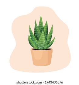 Indoor plant haworthia in a pot for interior decor at home, office, indoor use. Vector illustration isolated on white background. Trendy home decor with plants, urban jungle. Succulent