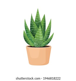 Indoor plant haworthia in a pot for interior decor at home, office, indoor use. Vector illustration isolated on white background. Trendy home decor with plants, urban jungle. Succulent