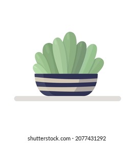 Indoor plant. Home plant in pot. Vector illustration in flat style.