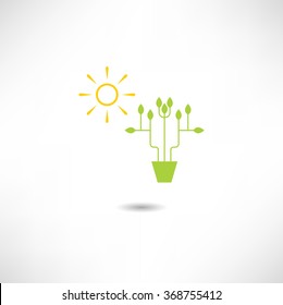 Indoor plant icon 