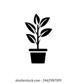 Indoor plant icon. Black Indoor plant icon on white background. Vector illustration