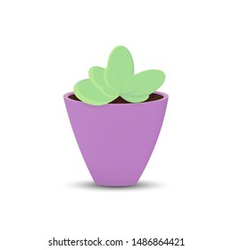 Indoor plant icon, flat design template, isolated houseplant symbol, vector illustration