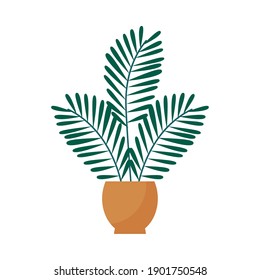 indoor plant icon over white background, colorful design, vector illustration