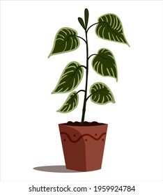 Indoor plant illustration on isolated backdrop. Flat style vector design. White background.