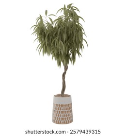 Indoor Plant Inside Pot Transparent Background