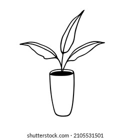 Planta interior. Elemento aislado sobre un fondo blanco.   Esquema de flor machacada. Doodle.