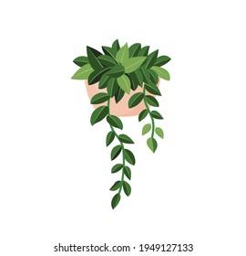 Indoor plant ivy in a pot for interior decor at home, office, indoor use. Vector illustration isolated on white background. Trendy home decor with plants, urban jungle. Plant hanging