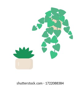 Indoor plant in a light beige pot. Flat simple illustration.