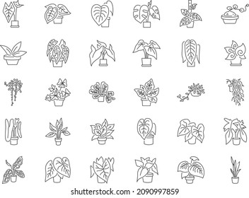 Indoor plant line icon set. Included the icons as a houseplant, pot plant, botanical, garden, and more.