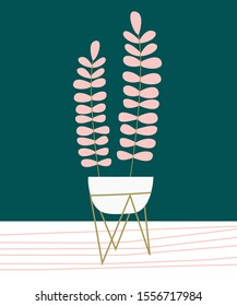 Indoor plant in a minimalist pot