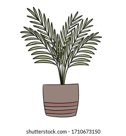 Indoor plant on a white background. Hovea in a pot in a flat style. Decorative elements for home and garden. EPS 10. Plant with a black stroke.