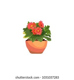 Indoor plant in an orange flower pot. Flowering red buds. Vector icons on white background

