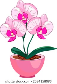 indoor plant pink flower in a pink pot