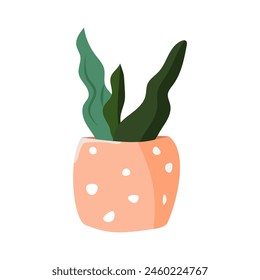 Indoor plant in a pot. Hand drawn potted potted houseplant. Cartoon style. Web design, textile, print.