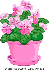 indoor plant in pot pink flower vector image