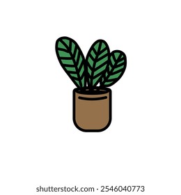 Indoor plant in a pot with simple colour vector art and flat design