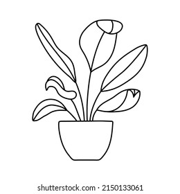 Indoor Plant In A Pot Sketch. Vector Doodle Black And White Outline Illustration