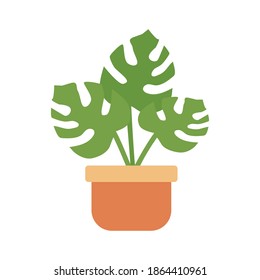 Indoor plant in a pot. Vector