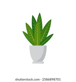 Indoor Plant With Pot Vector Illustration